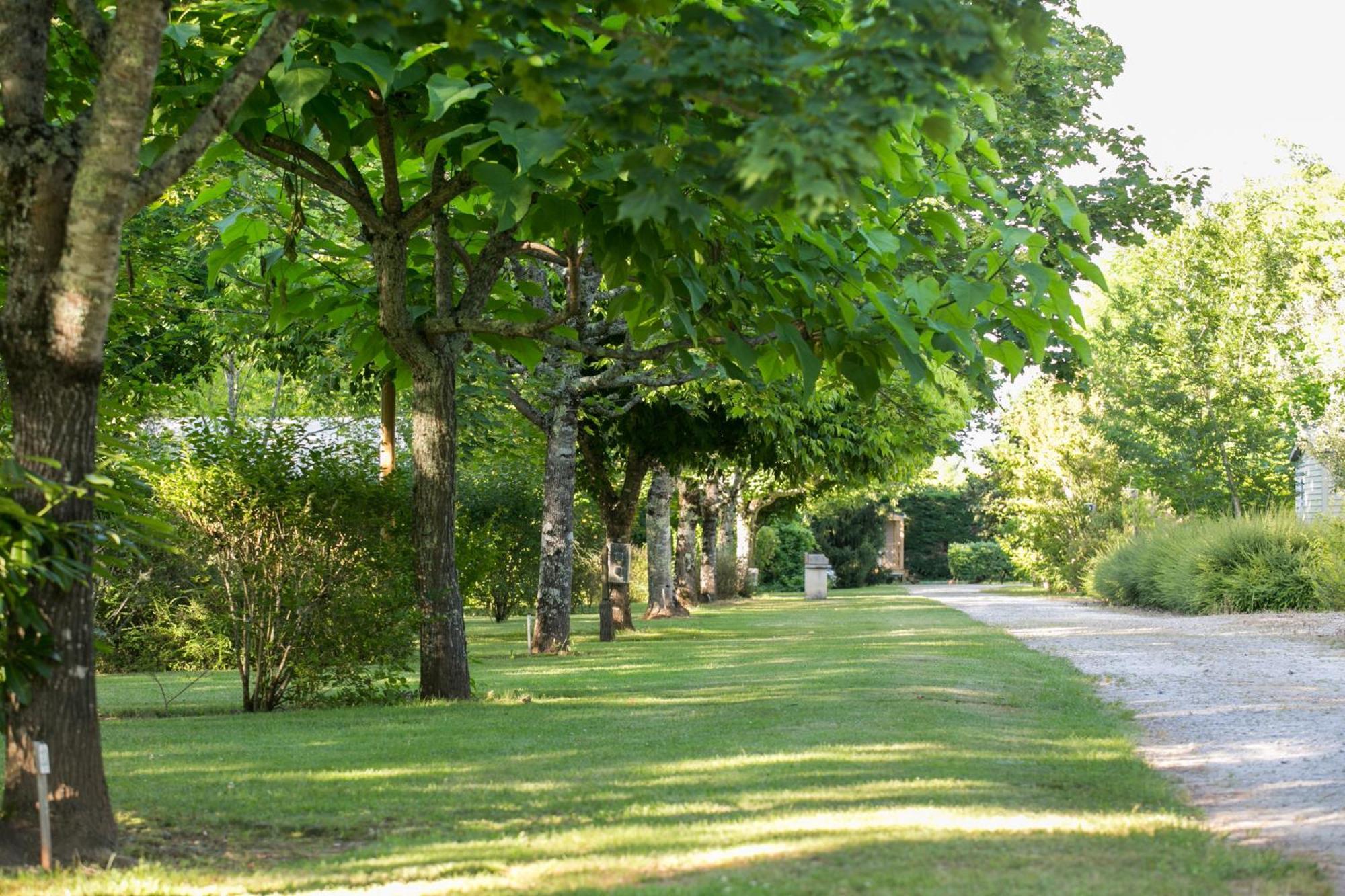 Camping La Ferme De Perdigat Limeuil Εξωτερικό φωτογραφία