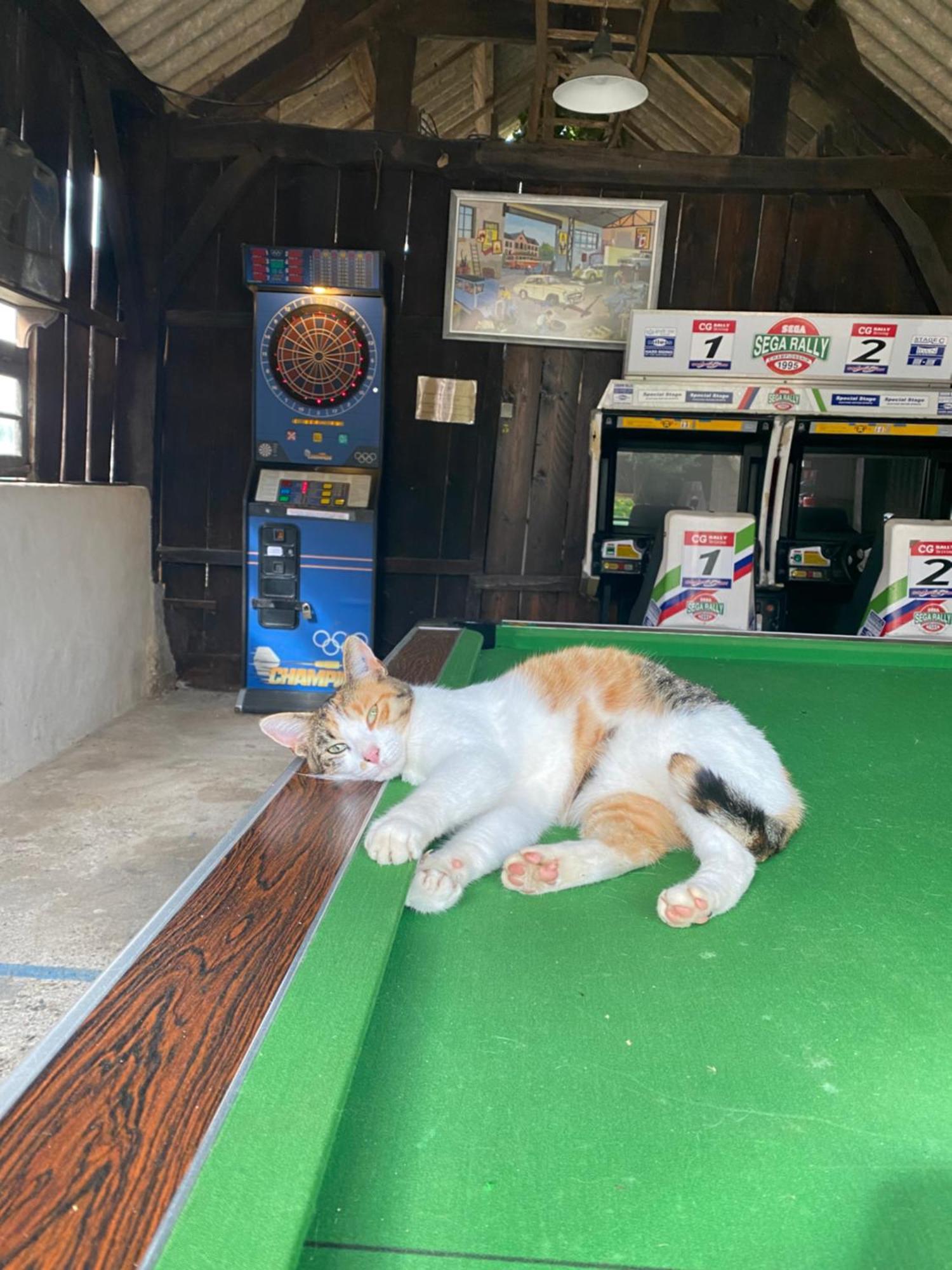 Camping La Ferme De Perdigat Limeuil Εξωτερικό φωτογραφία