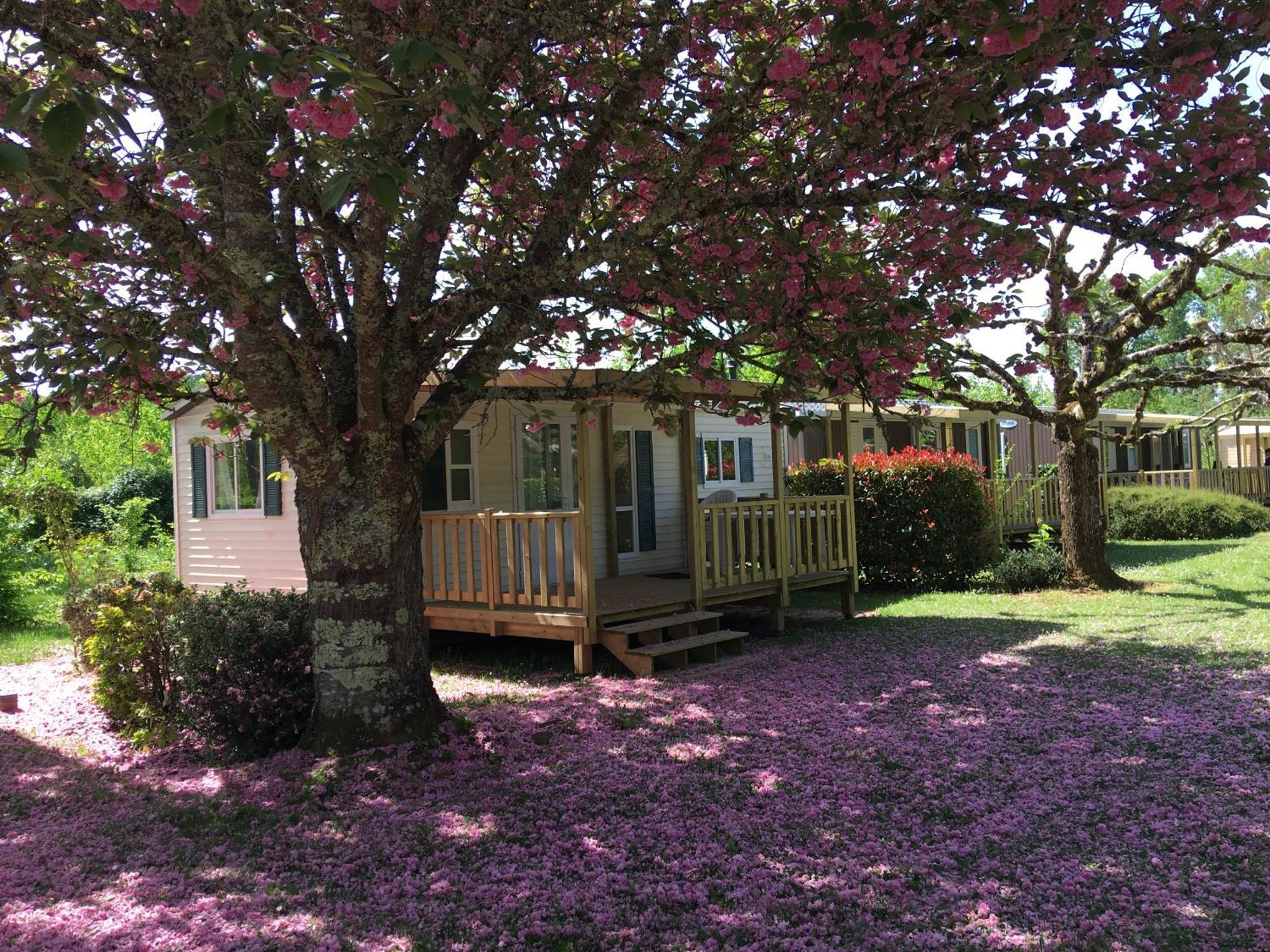 Camping La Ferme De Perdigat Limeuil Εξωτερικό φωτογραφία